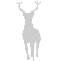 Silverlight Research Group